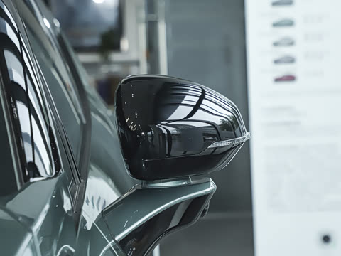 2025�� 530km ����Pro