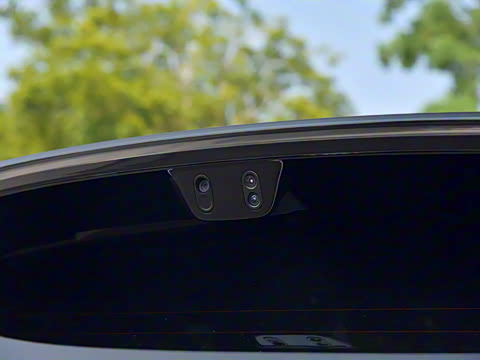 2025�� ���� Max+ ������������ 