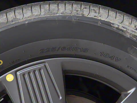 2025�� 520���а�