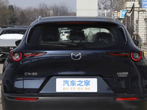 2025�� 2.0L �Զ�������