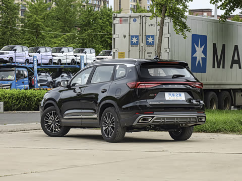 2025�� 290T ��������+