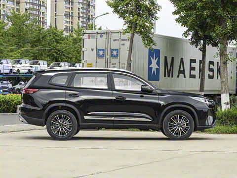 2025�� 290T ��������+