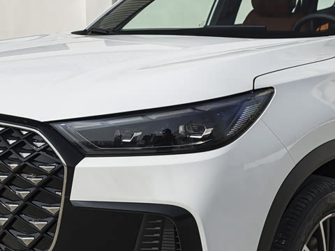 2026�� 290TGDI DCT������ 5��