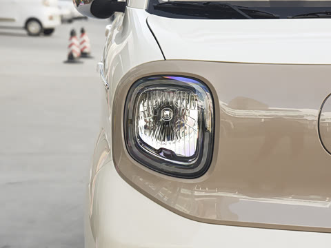 2026�� 222km Ħ����