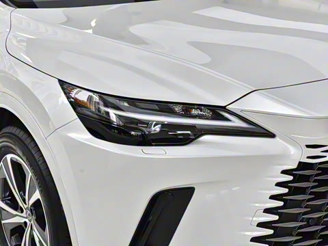 2026�� 300 ����������