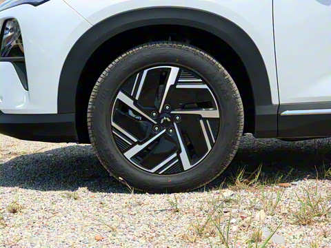 2025�� 130km �콢��