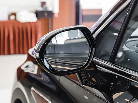 2025�� �Ŀ�  2.0T PHEV ���������� 7��