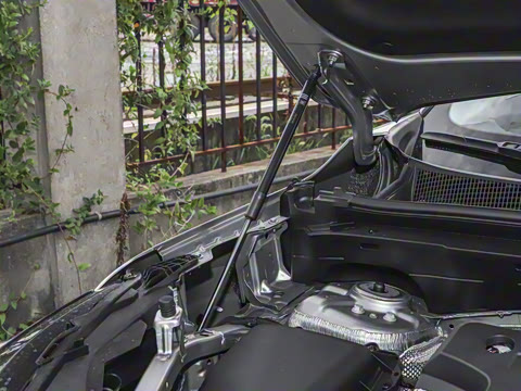 2026�� ������Plus ����Avenir��ά��