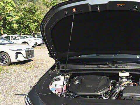 2026�� 60km̽����