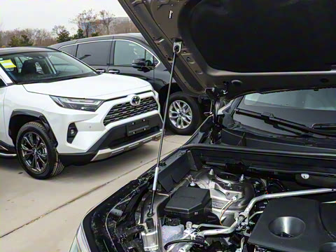 2026�� 2.0L ����������