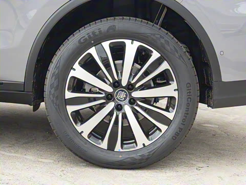 2025�� �Ǽݰ� DM-i 175KM �����