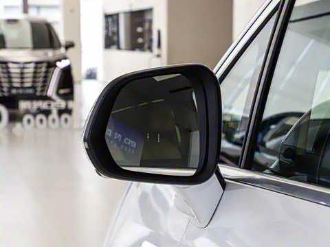 2025�� DM-i ��������