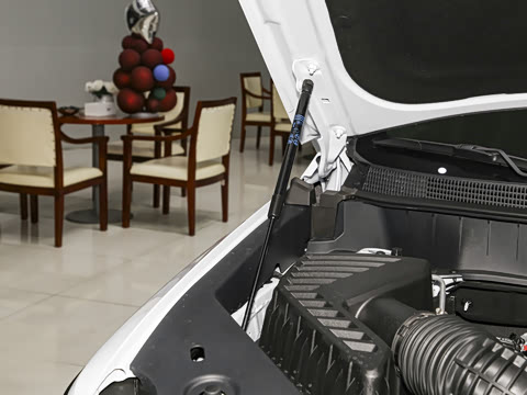 2026�� 2.0T �󶼻���