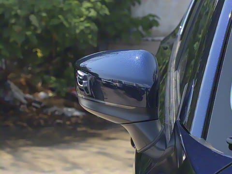 2025�� 2.0L �Զ���������Pro