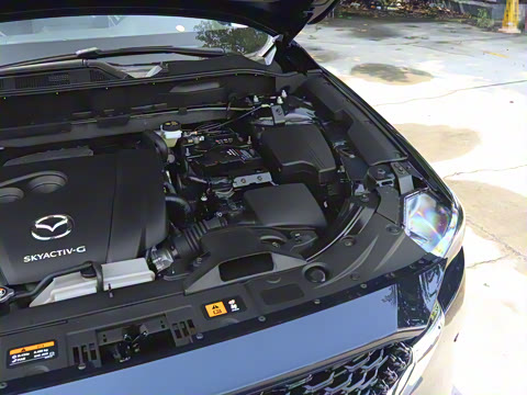 2025�� 2.0L �Զ���������Pro