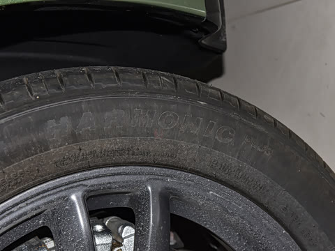 2025�� 555�Ǵ���