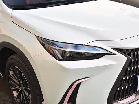 2026�� 200 ��ɫ�޶���