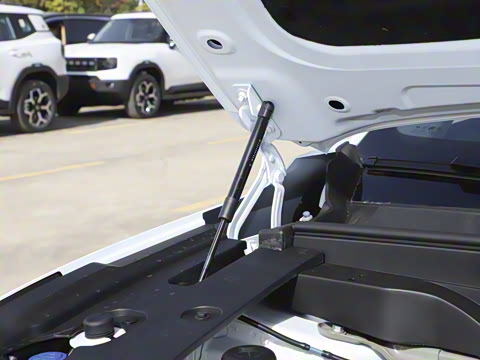 2026�� �������̳����