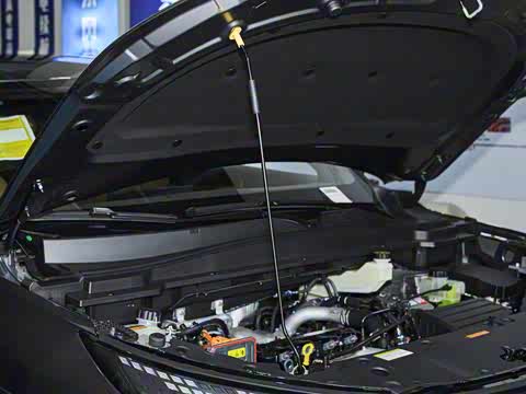 2025�� 185KM�����