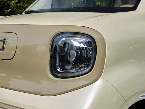 2026�� 222km ��ҫ��