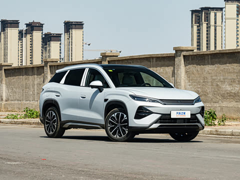 2026�� DM-i 310KM ��Խ��