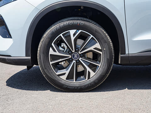 2026�� �ɳ۰� DM-i 220KM������