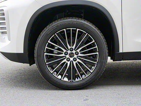 2025�� 300T ������ҹ��