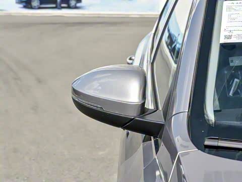 2025�� �Ŀ� 300TSI DSG���а�