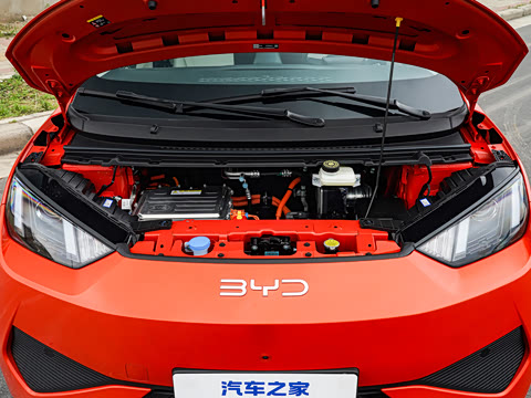2026�� 305km ������