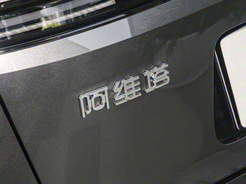 2025�� Max ���������