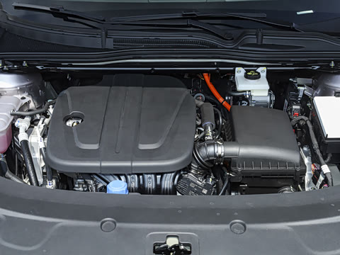 2026�� �����������̰� 310�콢��