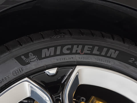 2025�� ������������Pro��