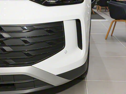 2026�� ̽��L 300TSI ������Ӣ