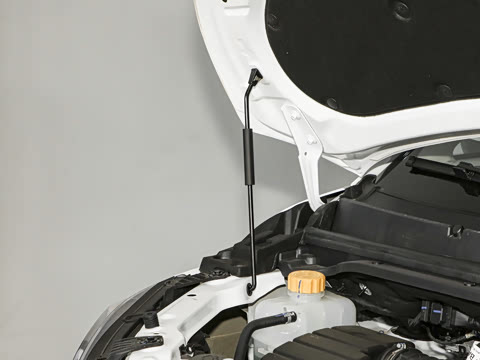 2025�� 2.0L �ֶ���������� 9��