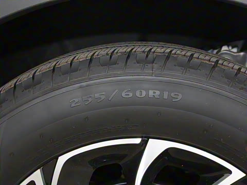 2025�� �Ŀ� 2.0T ����������