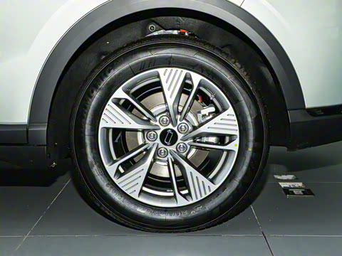 2025�� 565km �����