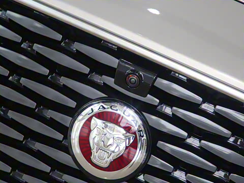 2025�� 2.0T P250 ��������������