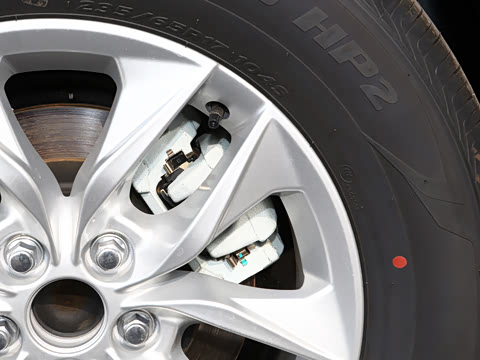 2026�� 2.5L �߶���