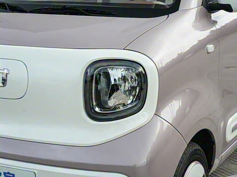 2026�� 222km �Ų���