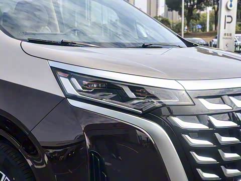 2025�� DM-i ��������