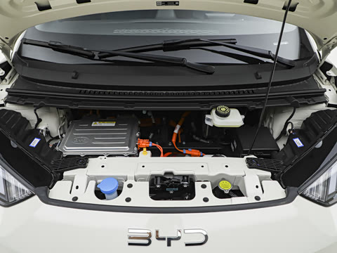 2026�� 305km ������