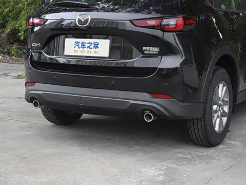 2025�� 2.0L �Զ���������Pro