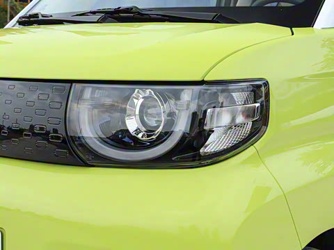 2025�� 205km ʥ����