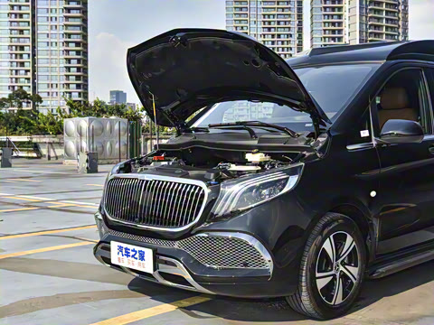 2025�� ������