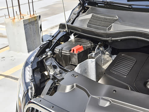 2025�� ������