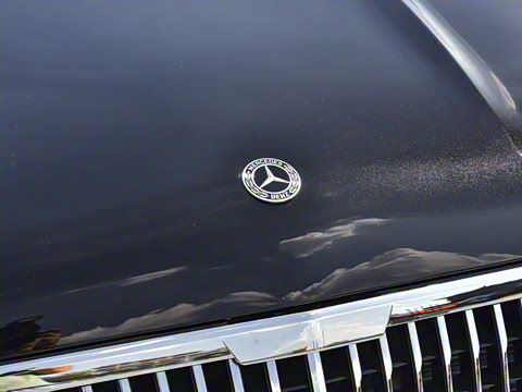 2025�� ������