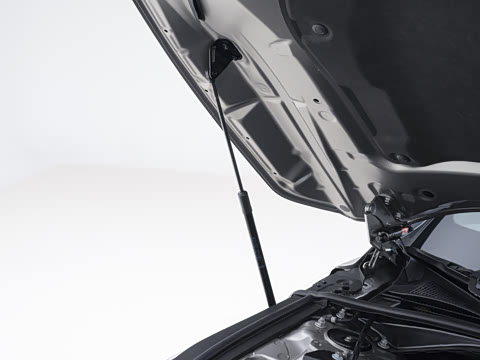 2026�� 300h ������