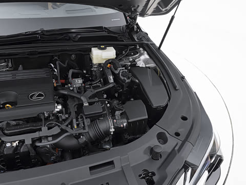 2026�� 300h ������