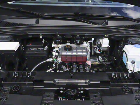 2025�� 550������