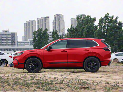 2025�� e:PHEV ������